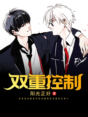 双重控制